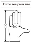 手袋サイズの見方